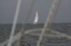 pilt118_small.jpg