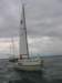 pilt81_small.jpg